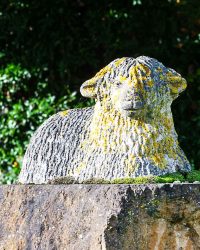 Shipston Sheep Statue